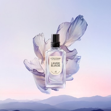 ラヴァンドブランシュ ラヴァンドブランシュ