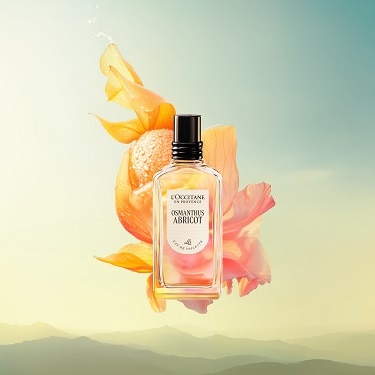 オスマンサスアプリコ オスマンサスアプリコ