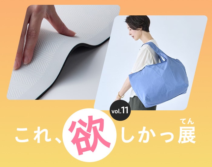 これ、欲しかっ展