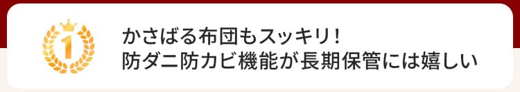 【価格見直し】 防ダニ・防カビ・抗菌機能が約３年続くクローゼットぴったり布団収納袋 【SNSで話題】BELLE MAISON DAYS