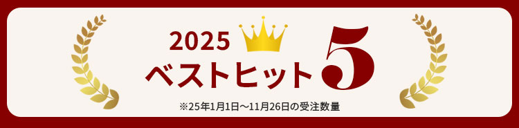 【価格見直し】 防ダニ・防カビ・抗菌機能が約３年続くクローゼットぴったり布団収納袋 【SNSで話題】BELLE MAISON DAYS