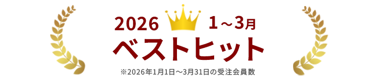 ステンレス製マグネットバスラック「Stenlee days」BELLE MAISON DAYS