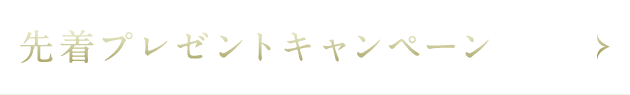 先着プレゼントキャンペーン 先着プレゼントキャンペーン