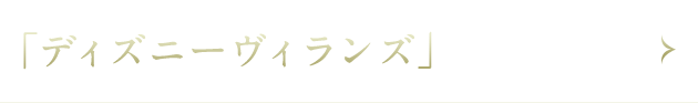 ディズニーヴィランズ ディズニーヴィランズ
