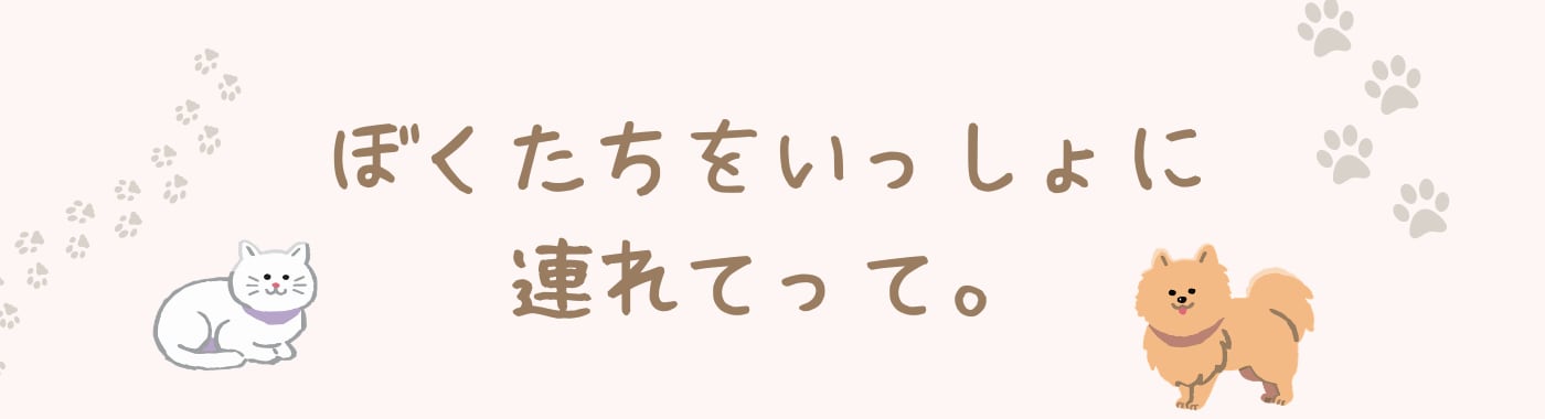ぼくたちをいっしょに連れてって