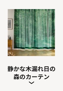 静かな木漏れ日の森のカーテン