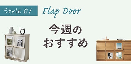 Flap Door