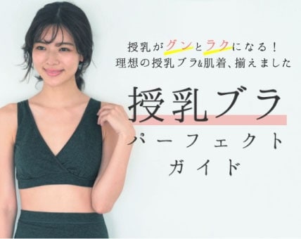 授乳ブラパーフェクトガイド