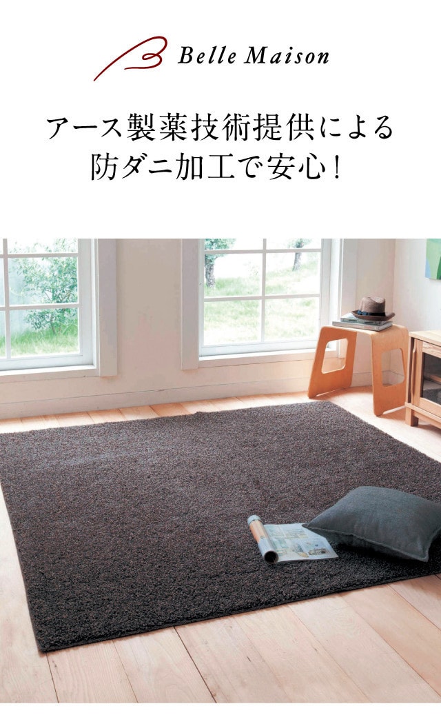 イメージ(1)