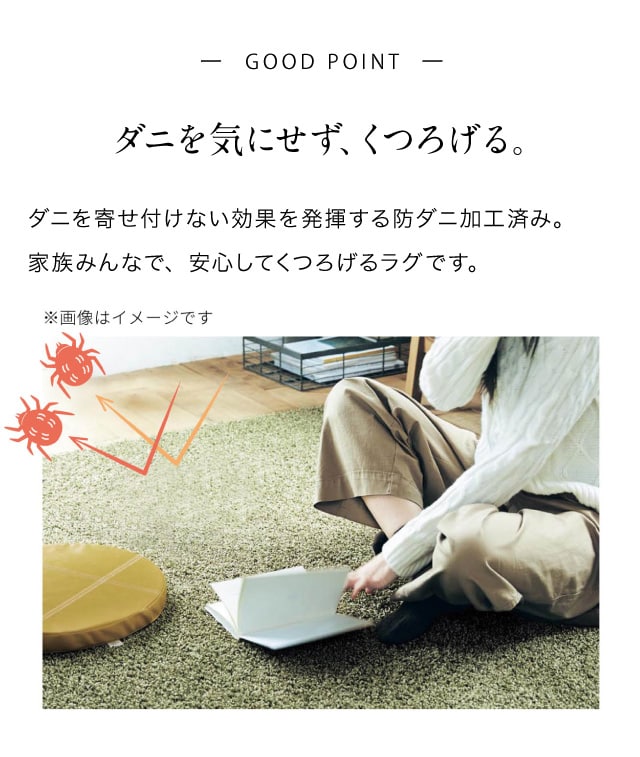 イメージ(3)