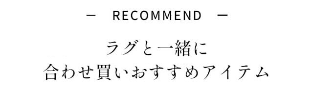 イメージ(11)