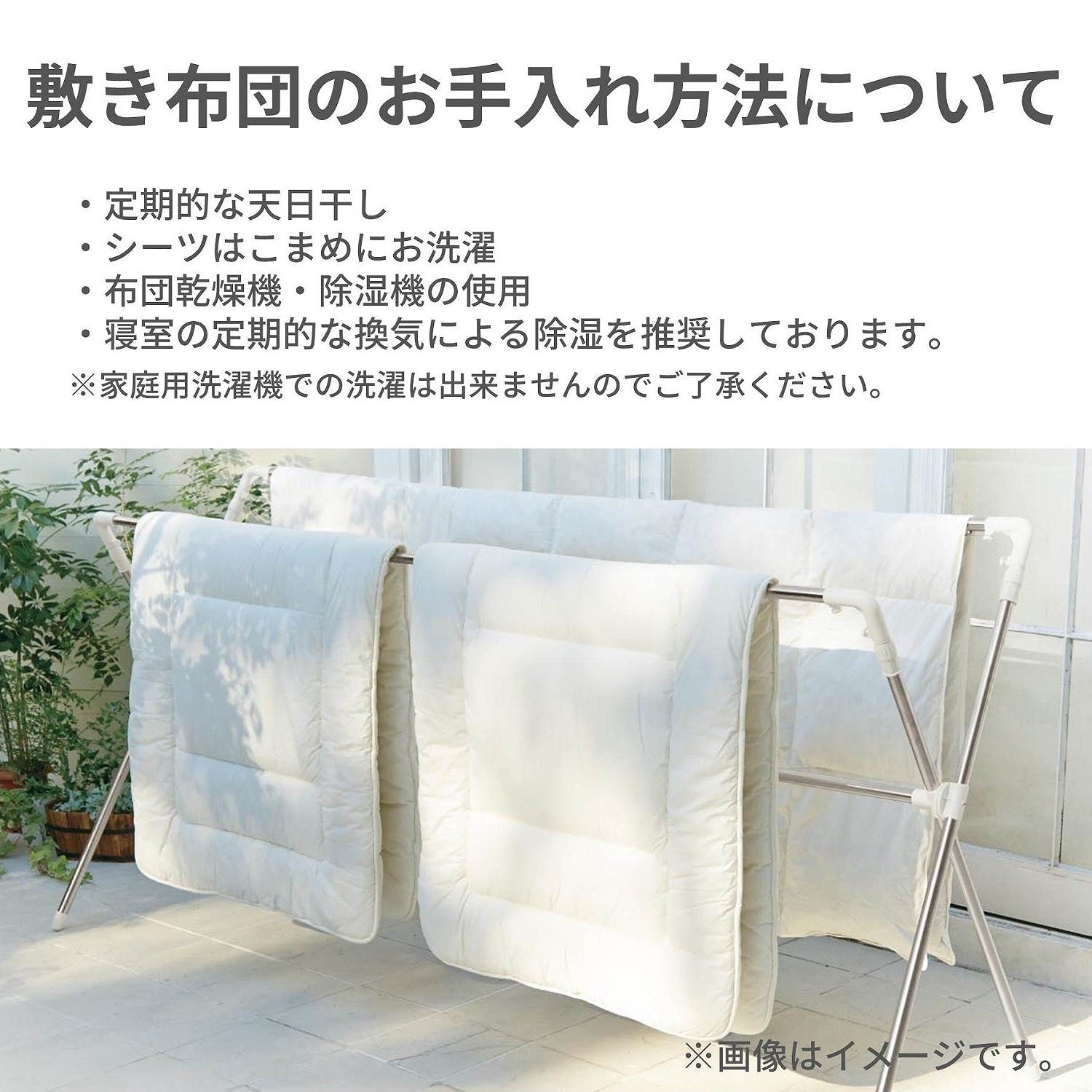 イメージ(6)