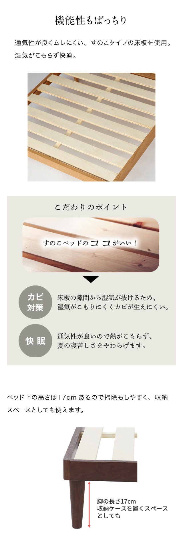 イメージ(5)