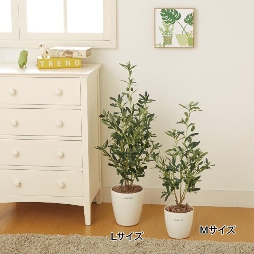 イメージ(2)