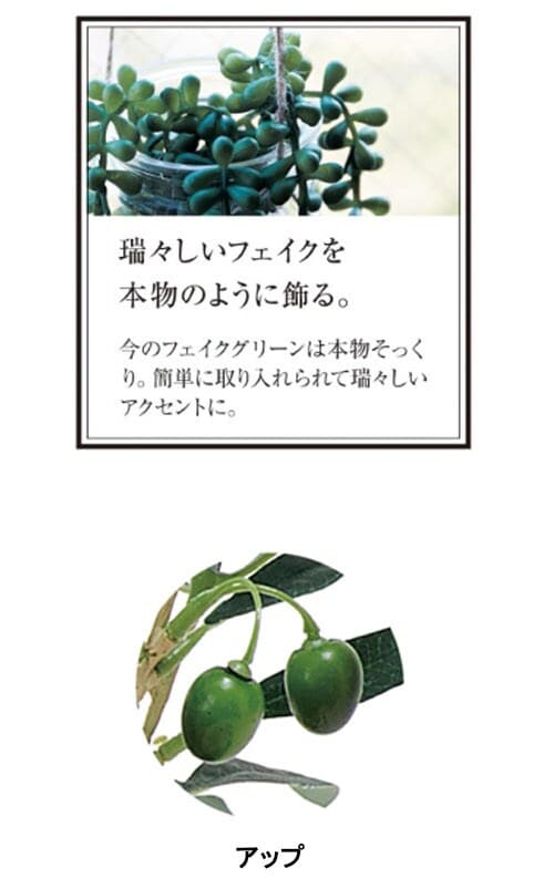 イメージ(3)