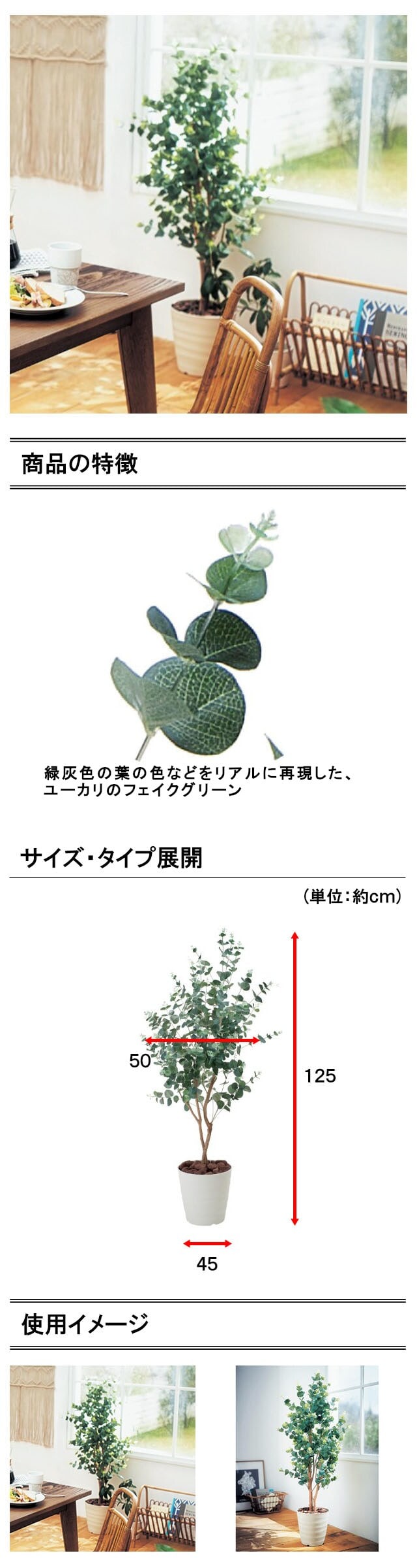 イメージ(2)