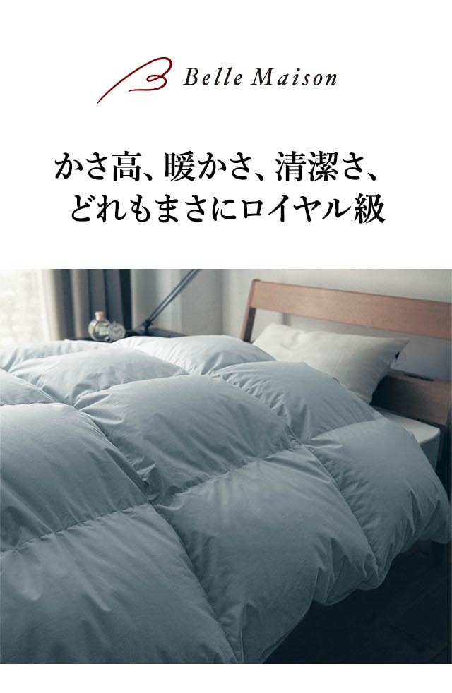 イメージ(1)