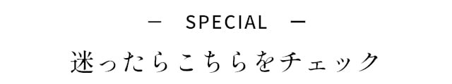 イメージ(10)