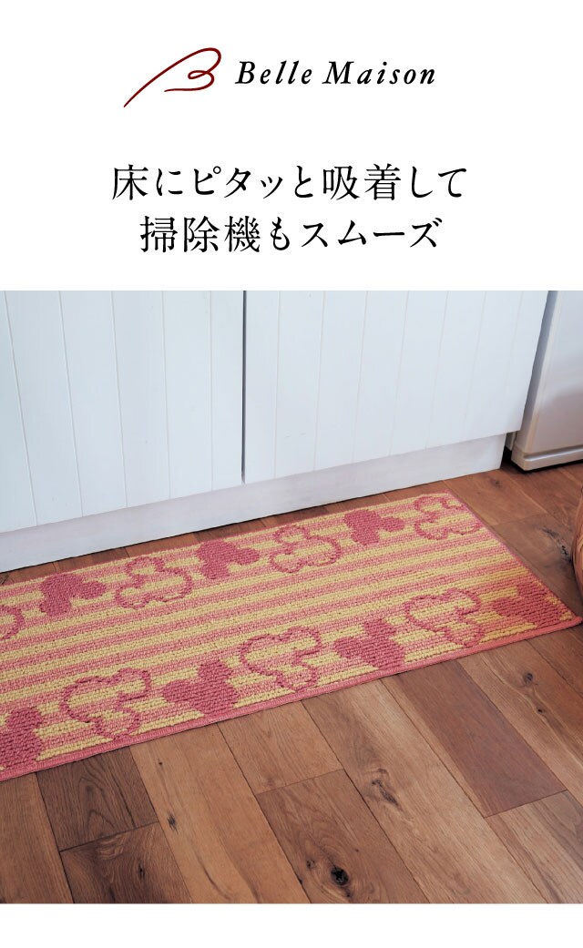 イメージ(1)