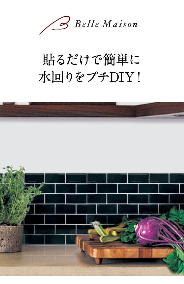 イメージ(1)