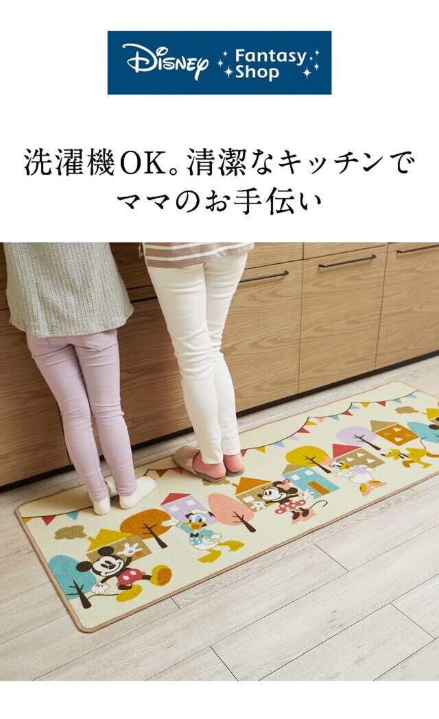 イメージ(1)