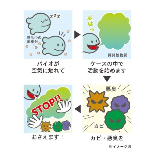イメージ(2)