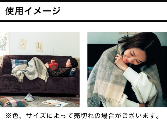 イメージ(4)
