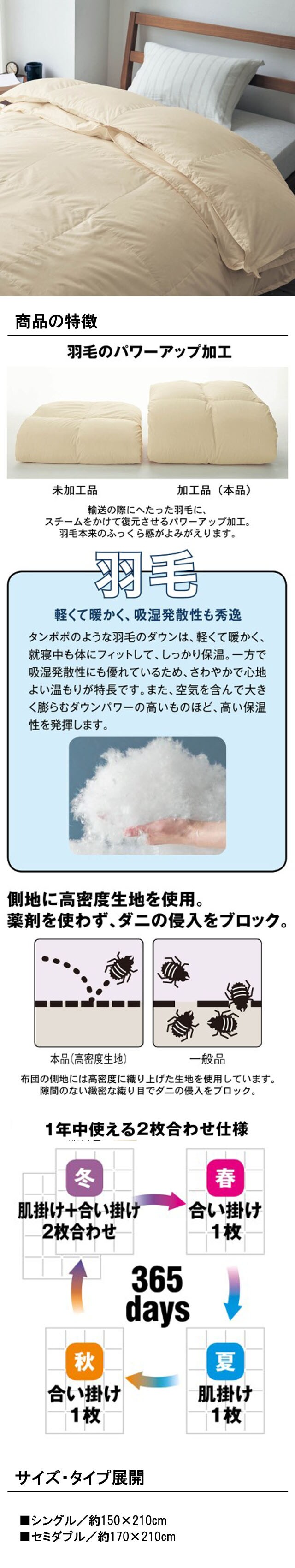 イメージ(2)