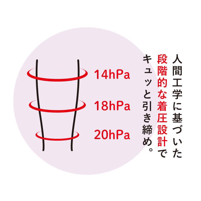 この商品は、『人間工学に基づいた段階的な着圧設計』になっています。