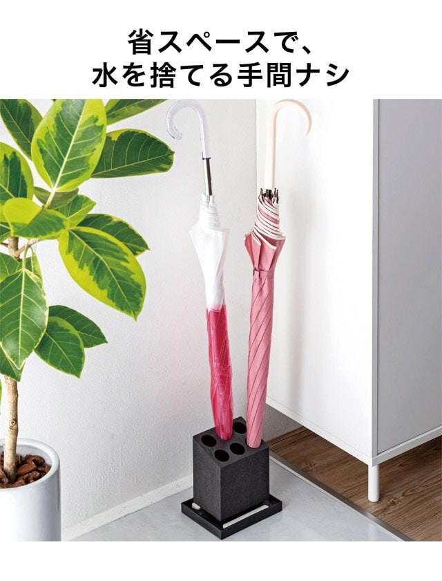 イメージ(2)