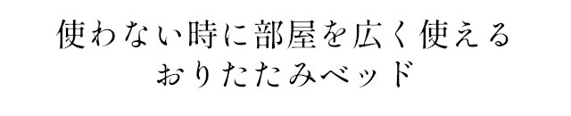 イメージ(12)
