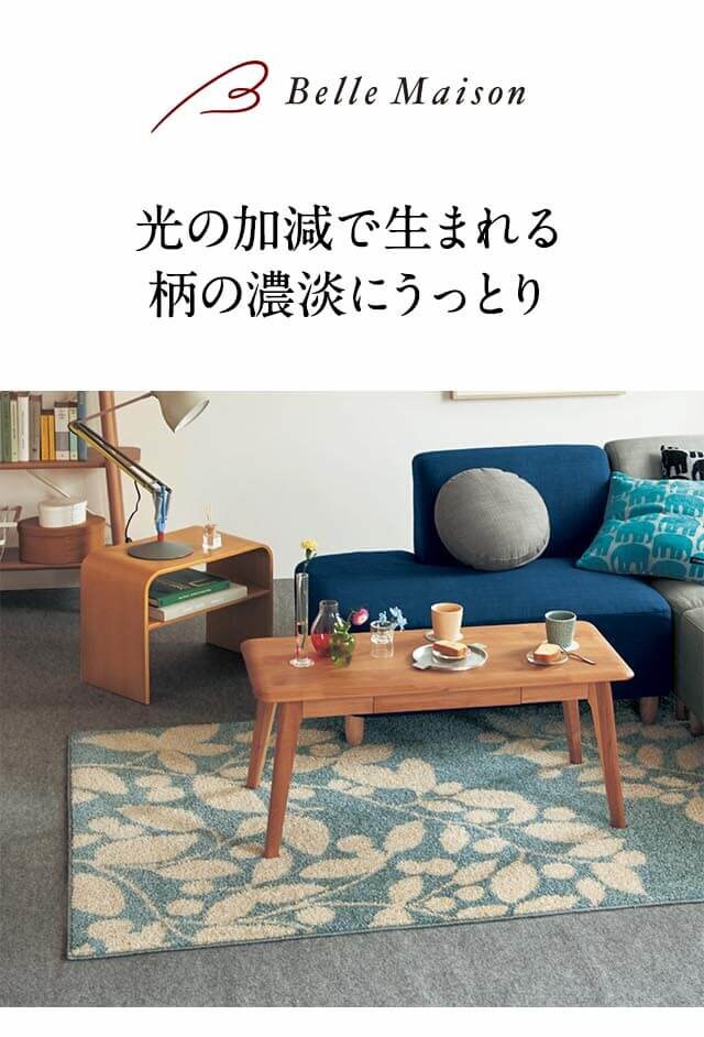 イメージ(1)