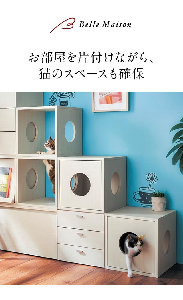 イメージ(1)