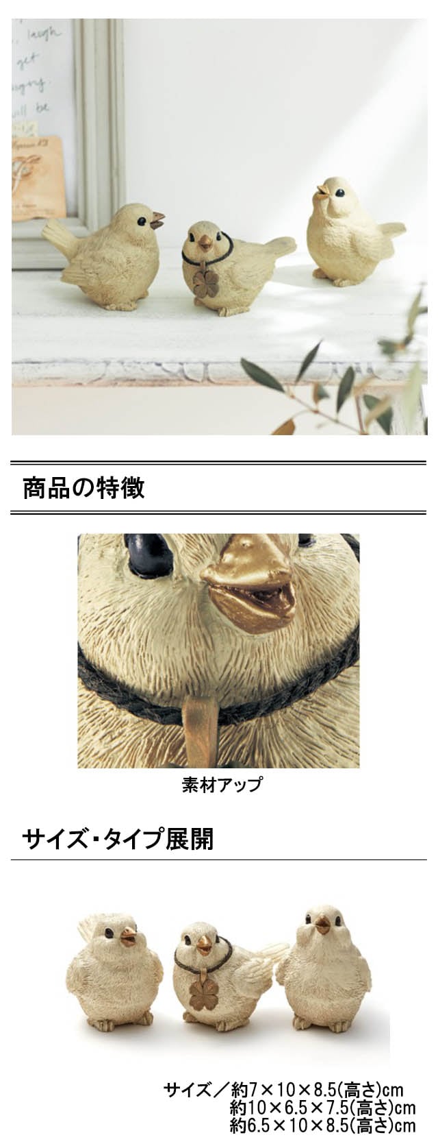 イメージ(2)