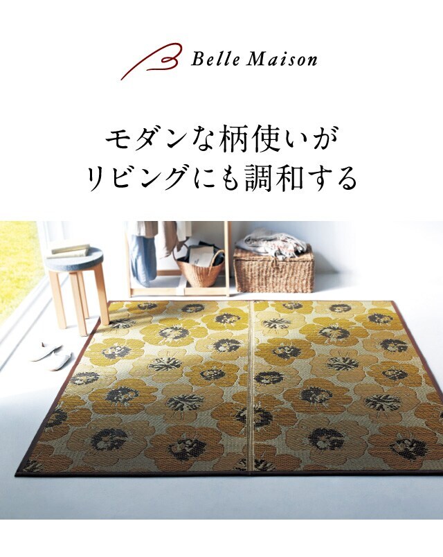 イメージ(1)