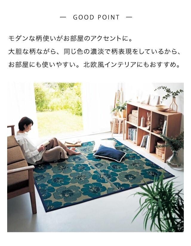 イメージ(2)
