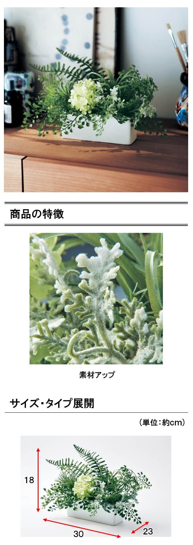 イメージ(2)