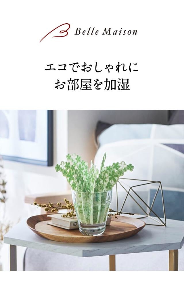 イメージ(1)