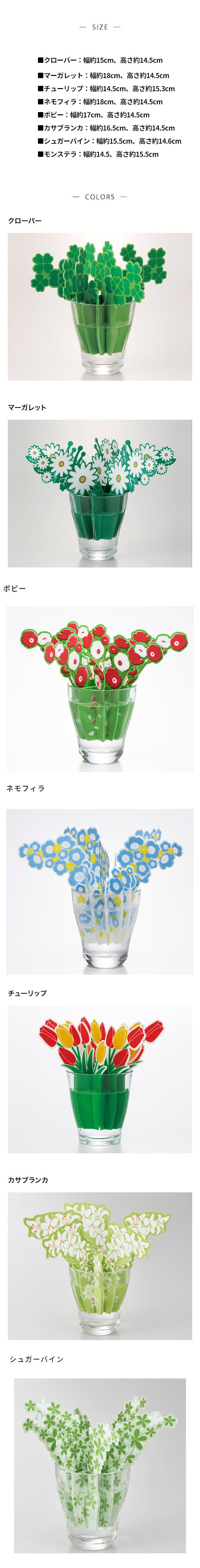 イメージ(3)
