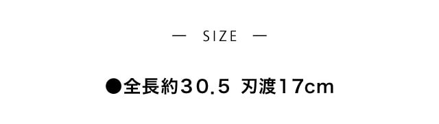 イメージ(4)