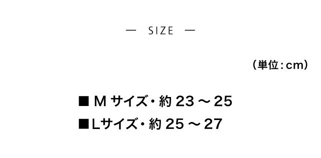 イメージ(5)