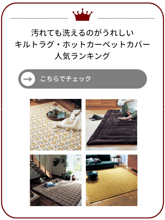 イメージ(9)