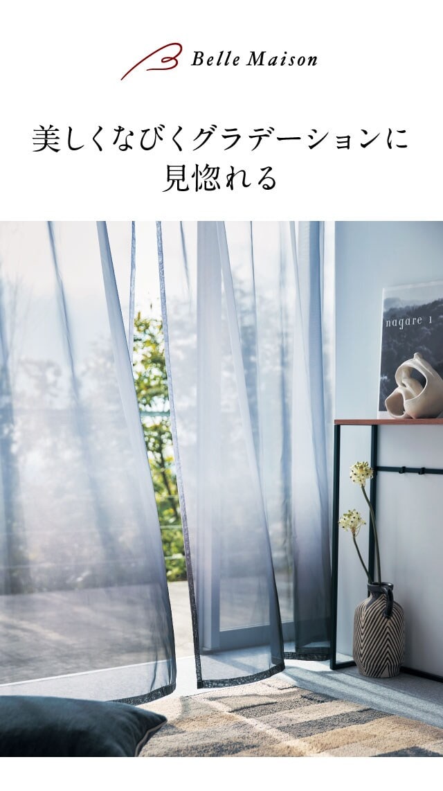 イメージ(1)