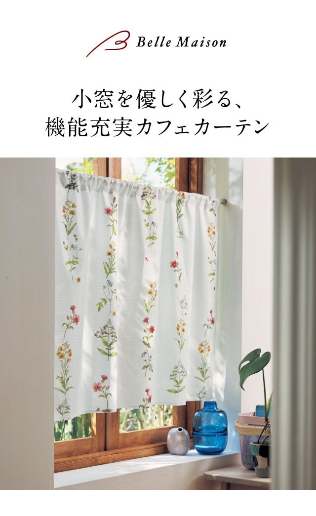 イメージ(1)