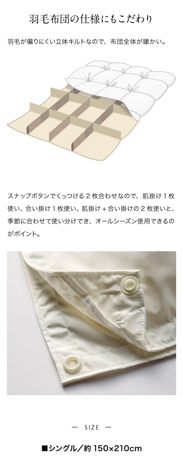 イメージ(3)