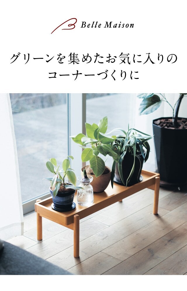 イメージ(1)