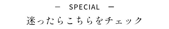 イメージ(10)