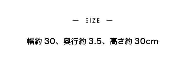イメージ(5)