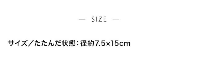 イメージ(3)