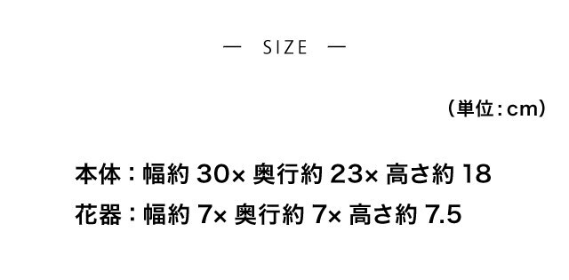 イメージ(3)